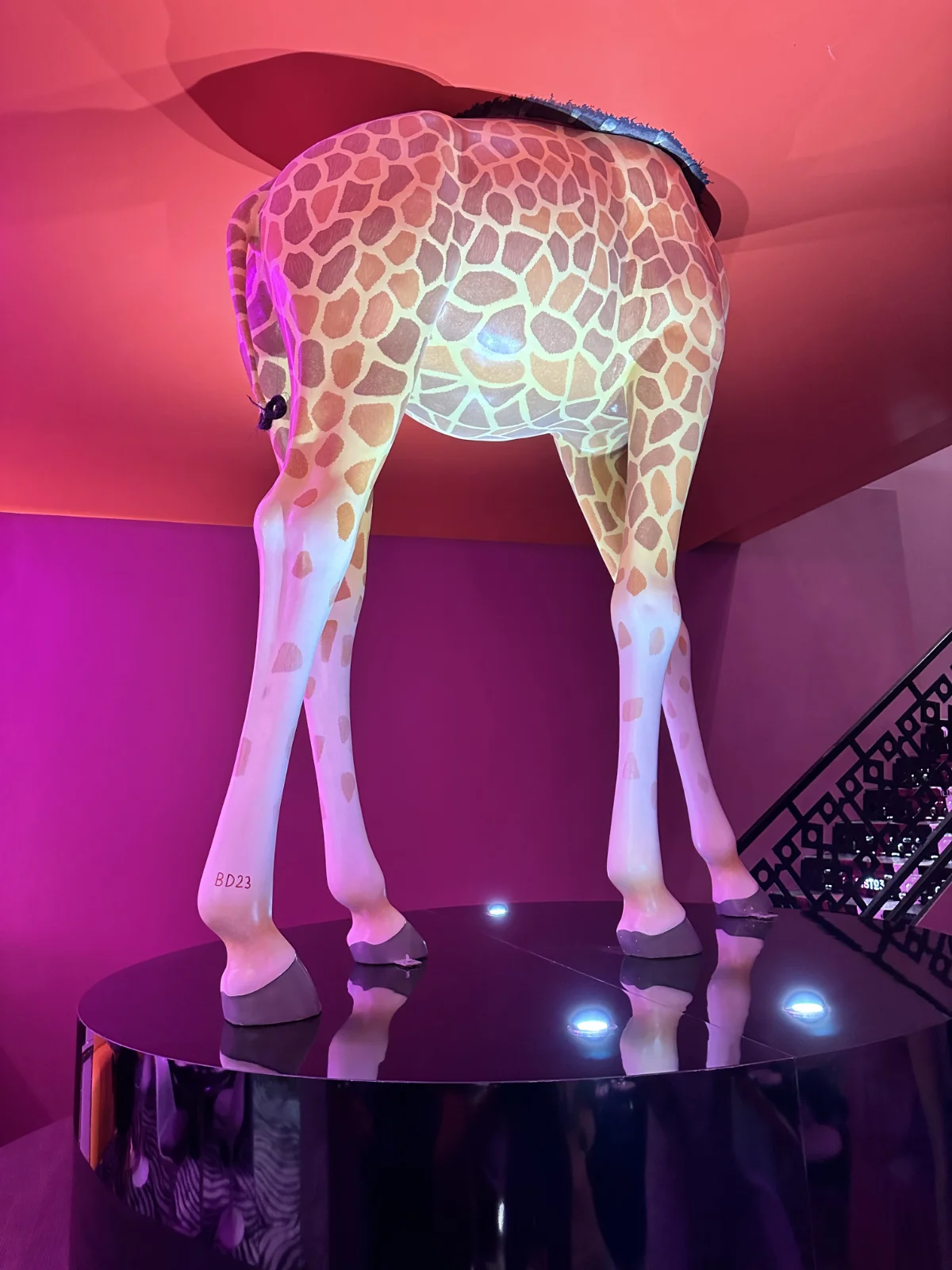 statua-giraffa-che-sbuca-sul-soffitto