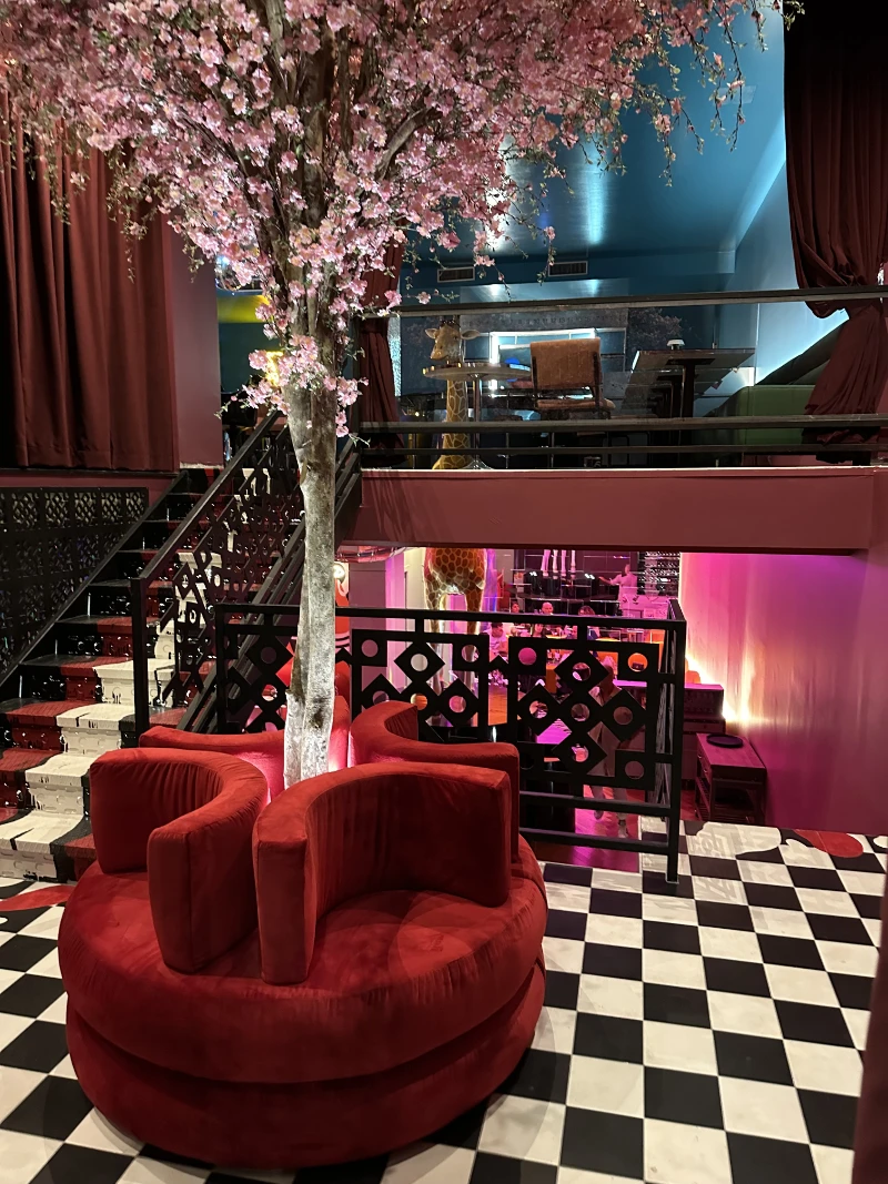 ingresso-locale-con-albero-foglie-rosa
